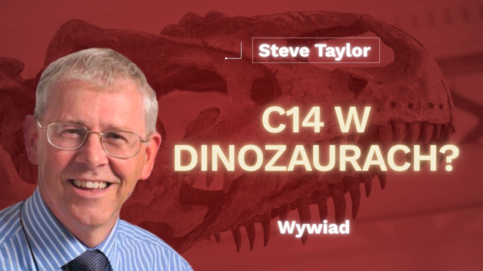 Steve Taylor – wywiad